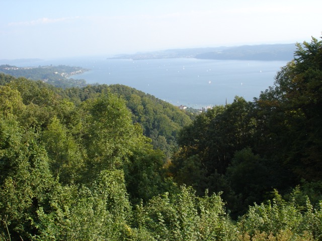 DSC01452