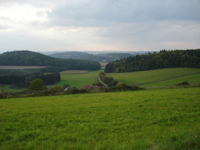 DSC01469