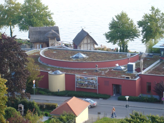 DSC01552