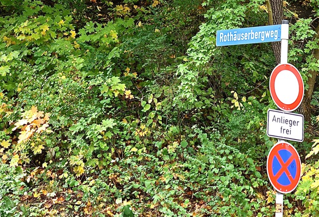 DSC_8391_ShiftN.jpg