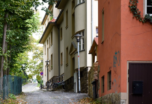 DSC_8392_ShiftN.jpg