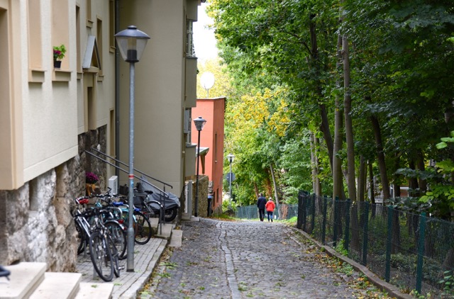 DSC_8393_ShiftN.jpg