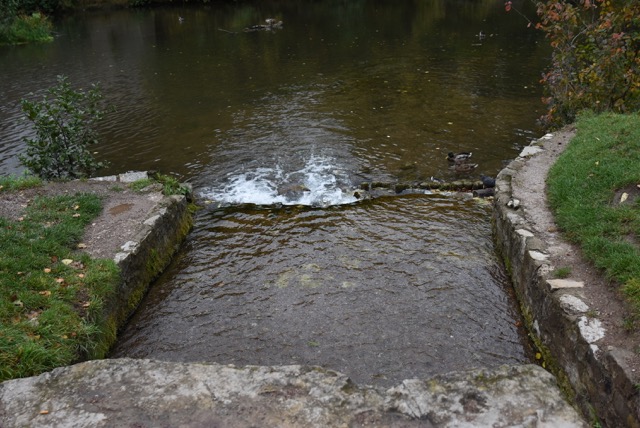 DSC_8400.JPG
