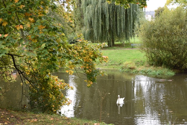 DSC_8403.JPG
