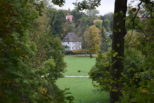 DSC_8557.JPG