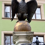 DSC_7837.jpg