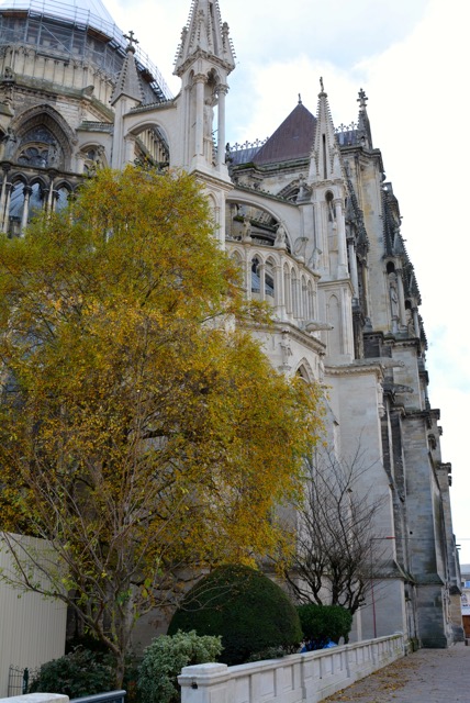 DSC_0264